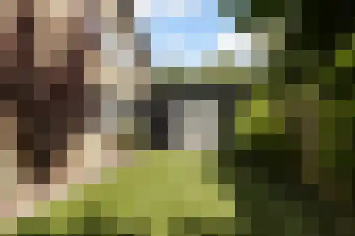 Dommeldal 26 Boxtel thumbnail 61