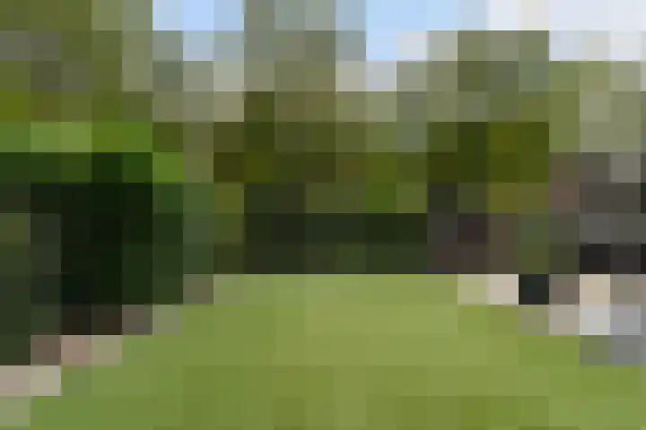 Dommeldal 26 Boxtel thumbnail 65