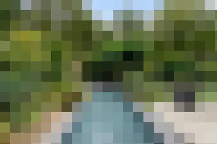 Dommeldal 26 Boxtel thumbnail 66