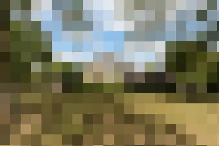 Dommeldal 26 Boxtel thumbnail 72