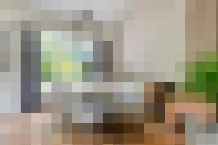 Dommeldal 32 Boxtel thumbnail 11