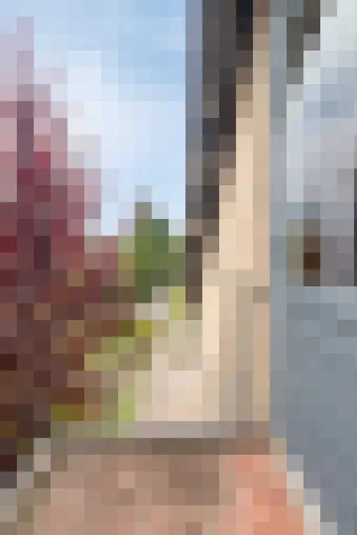 Dommeldal 32 Boxtel thumbnail 25