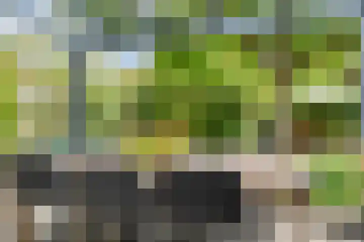 Dommeldal 32 Boxtel thumbnail 32