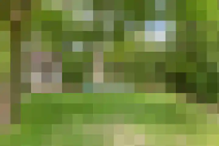 Dommeldal 32 Boxtel thumbnail 35