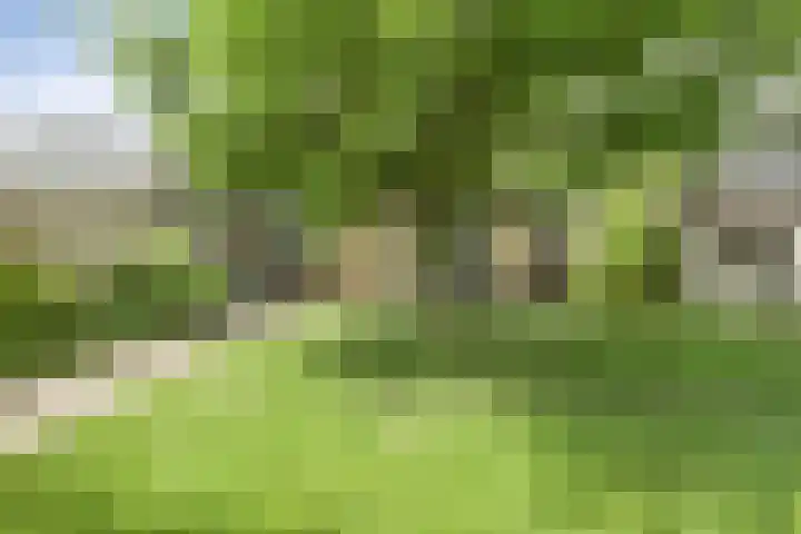 Dommeldal 32 Boxtel thumbnail 37