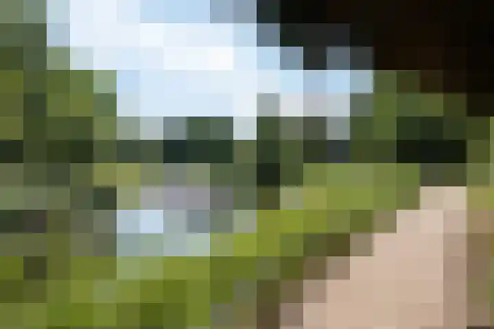 Dommeldal 32 Boxtel thumbnail 39