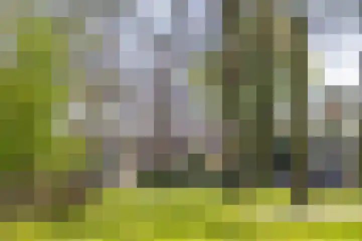 Dommeloord 54 Boxtel thumbnail 31