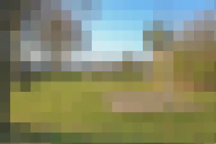 Dommeloord 54 Boxtel thumbnail 32
