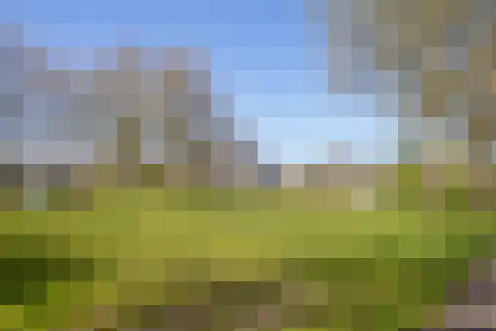 Dommeloord 54 Boxtel thumbnail 33