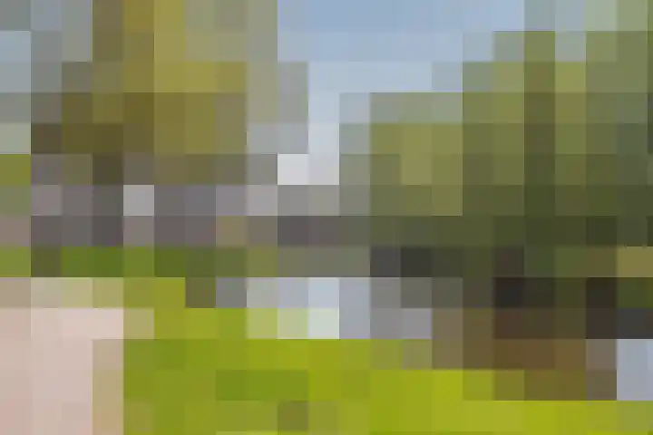 Dommeloord 54 Boxtel thumbnail 36