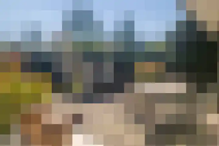 Dommeloord 54 Boxtel thumbnail 5