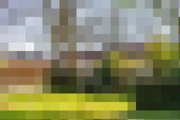 Dommeloord 54 Boxtel thumbnail 6