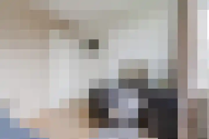 Dommelstraat 23 Geldrop thumbnail 18