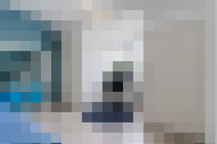 Dommelstraat 23 Geldrop thumbnail 27