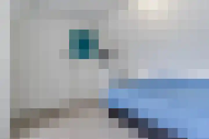 Dommelstraat 23 Geldrop thumbnail 29