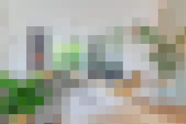 Dommelstraat 23 Geldrop thumbnail 9