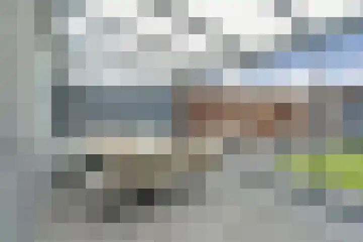 Dommelstraat 37 Helmond thumbnail 24