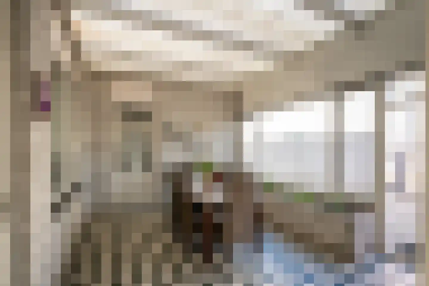 Dommelstraat 40 Oss thumbnail 10
