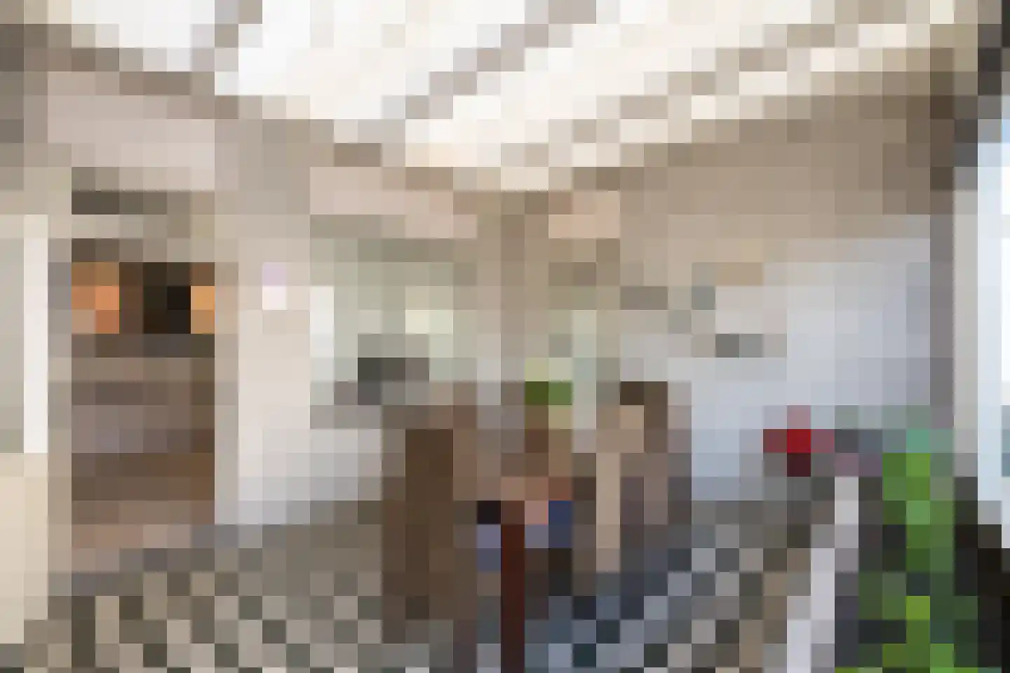 Dommelstraat 40 Oss thumbnail 11
