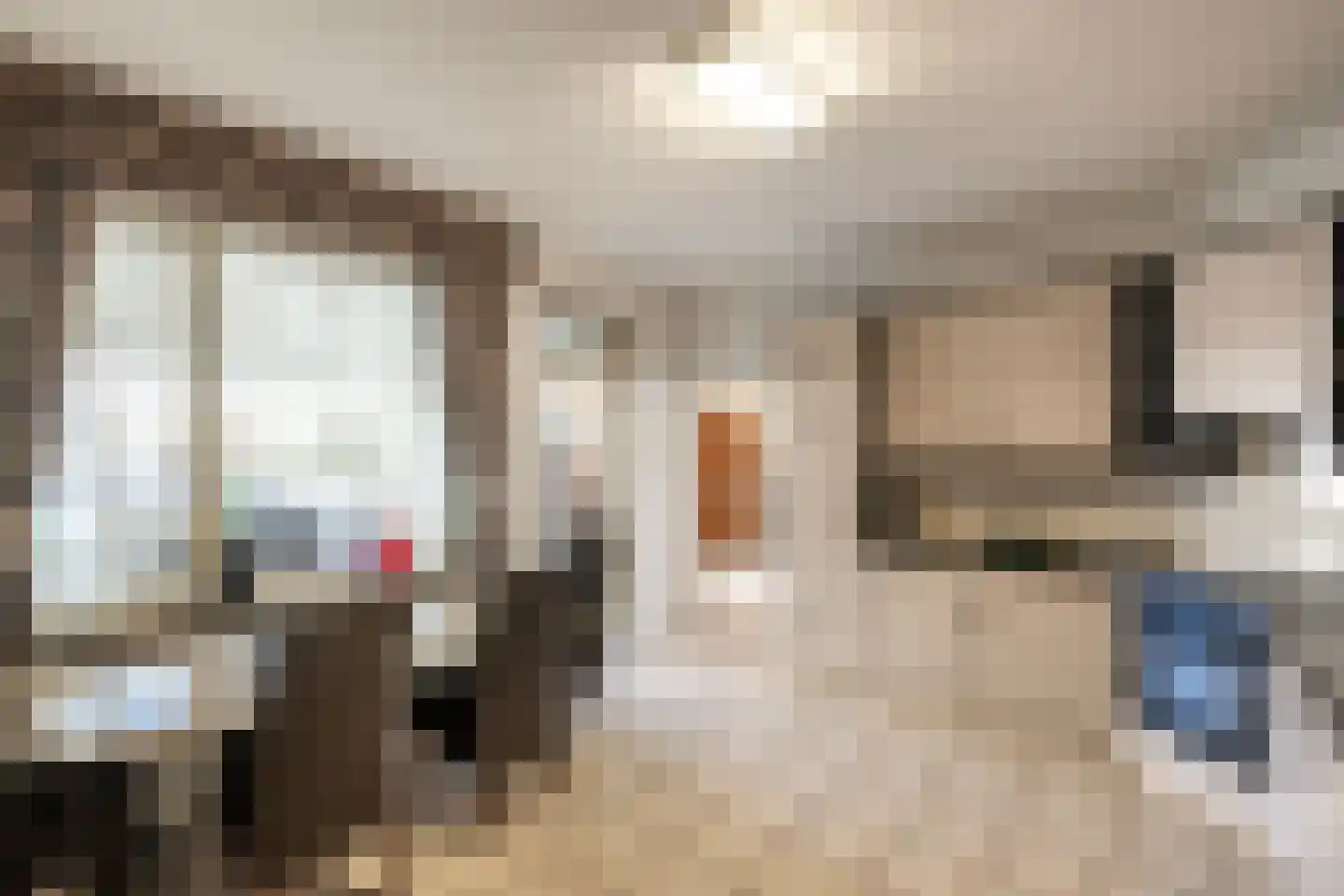 Dommelstraat 40 Oss thumbnail 12
