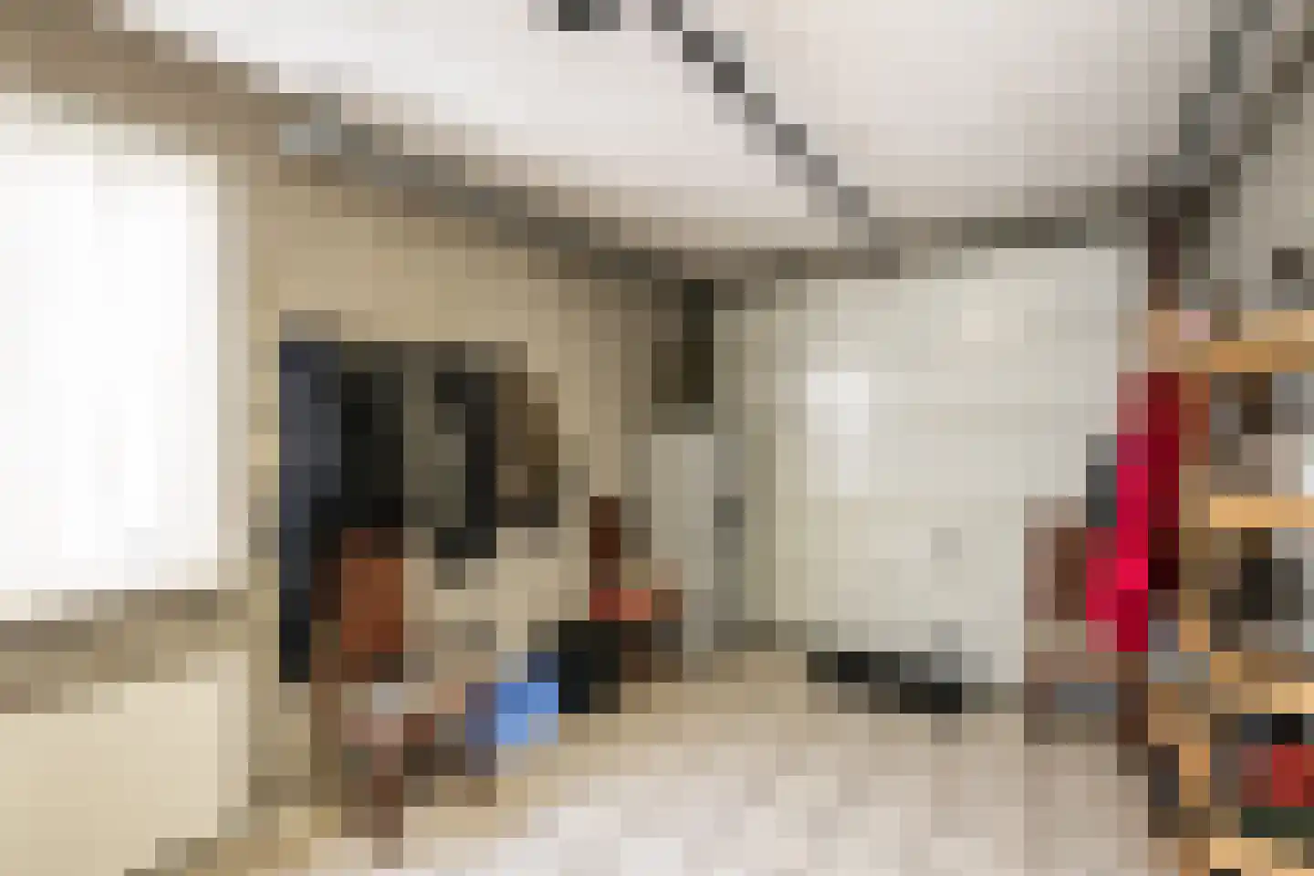 Dommelstraat 40 Oss thumbnail 14