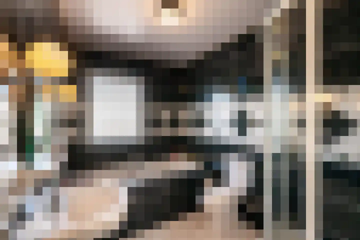 Dommelstraat 40 Oss thumbnail 19