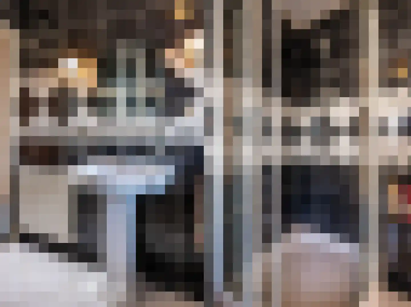 Dommelstraat 40 Oss thumbnail 20