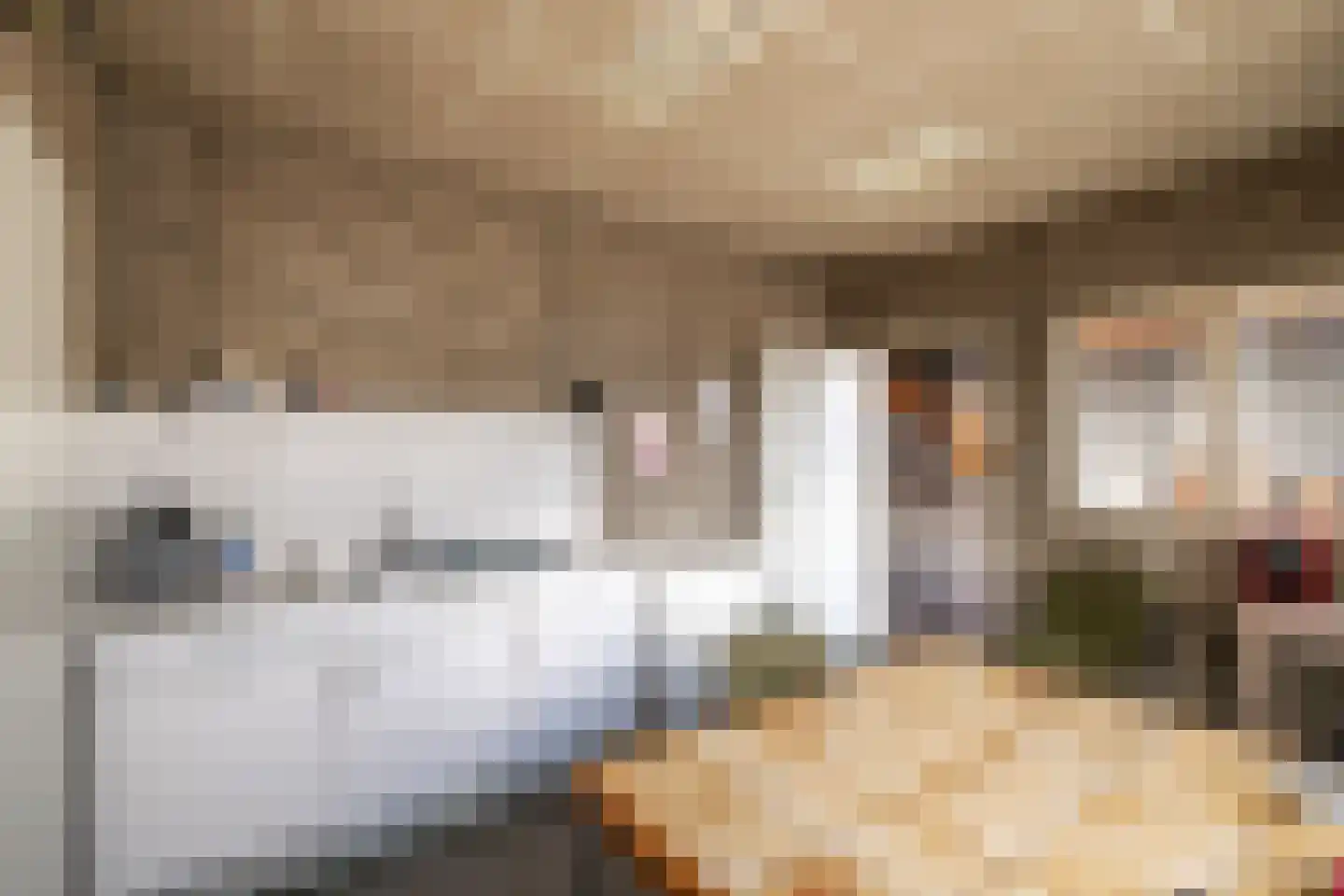 Dommelstraat 40 Oss thumbnail 26
