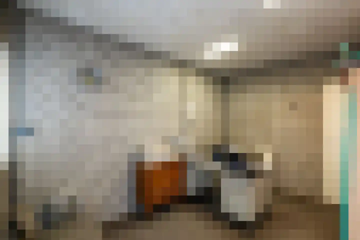 Dommelstraat 40 Oss thumbnail 27