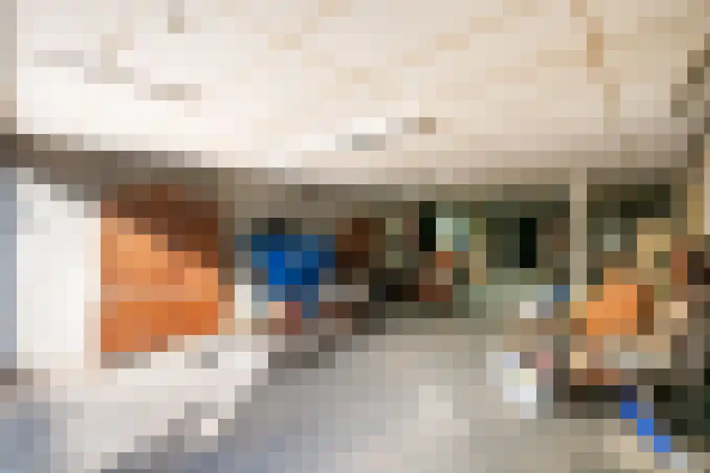Dommelstraat 40 Oss thumbnail 33