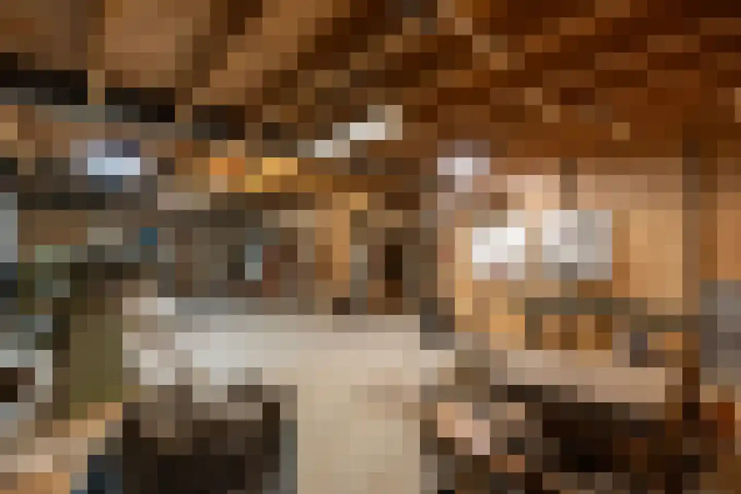 Dommelstraat 40 Oss thumbnail 35