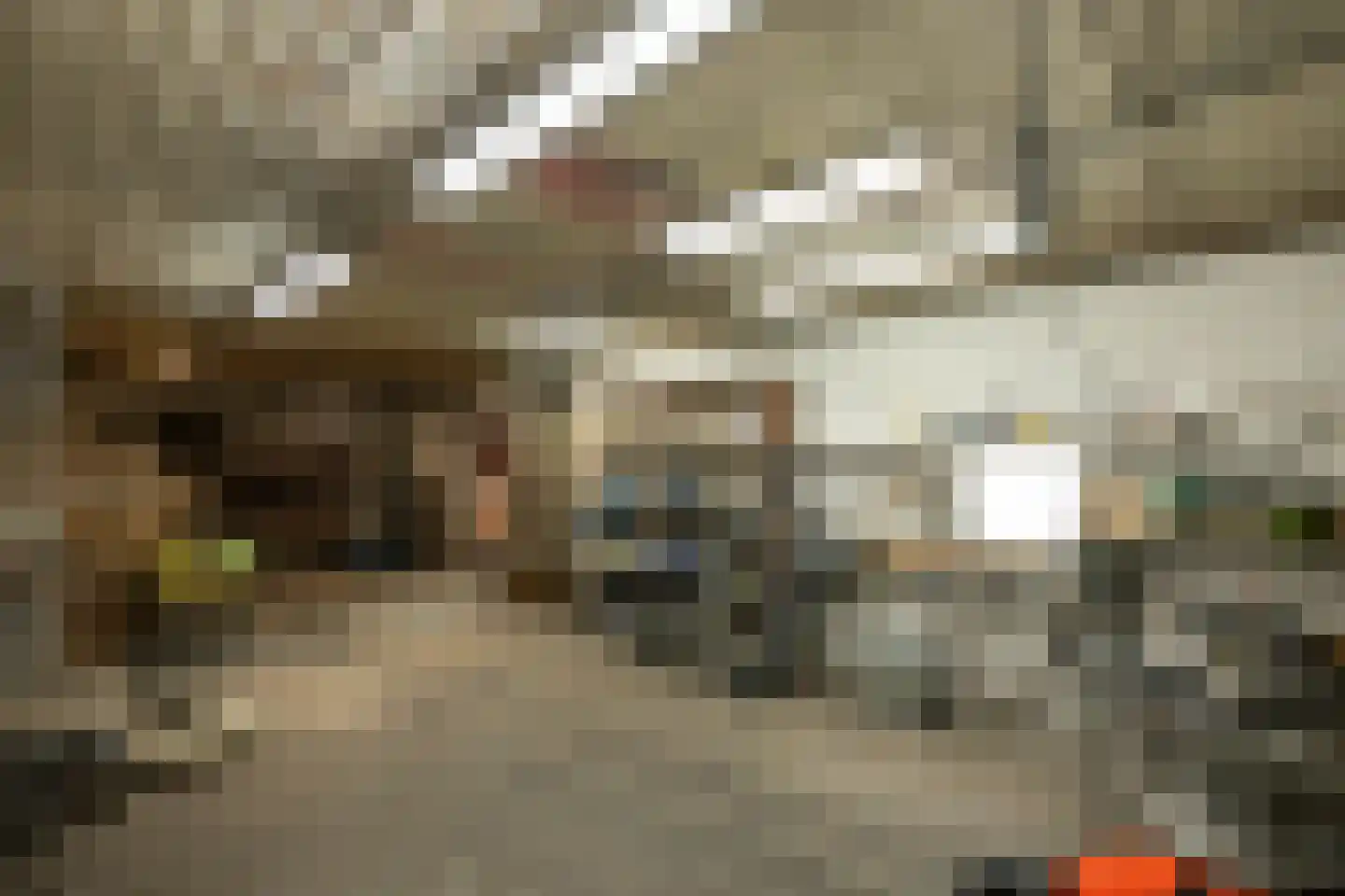 Dommelstraat 40 Oss thumbnail 36