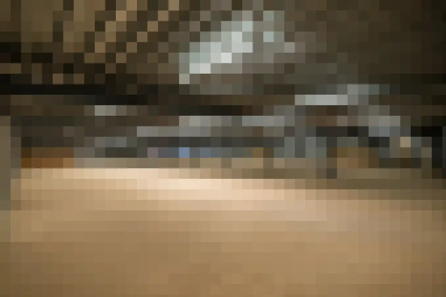 Dommelstraat 40 Oss thumbnail 4