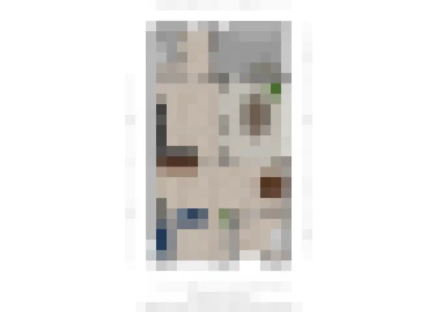 Dommelstraat 40 Oss thumbnail 41