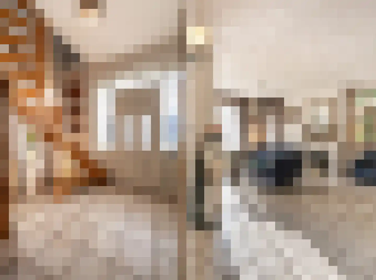 Dommelstraat 40 Oss thumbnail 6