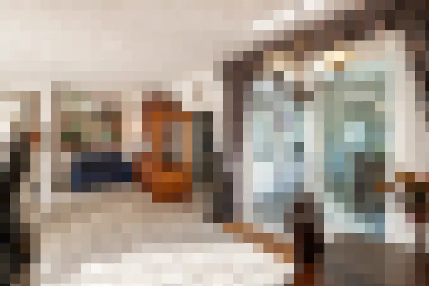 Dommelstraat 40 Oss thumbnail 9