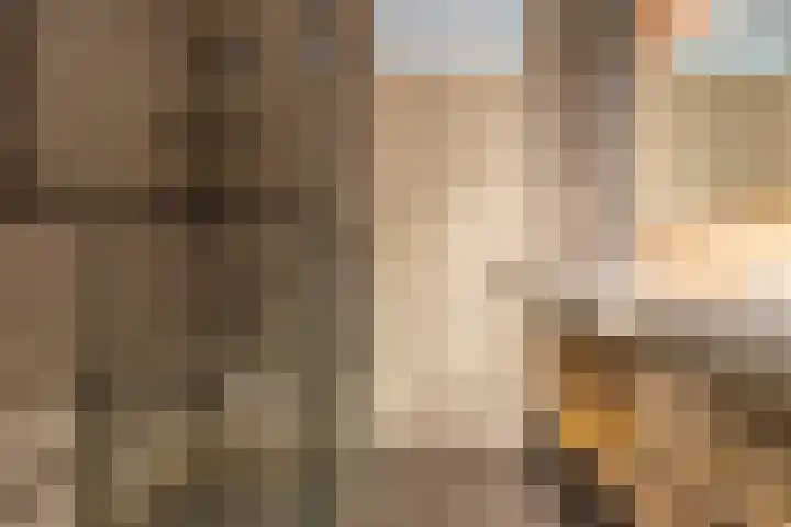 Donatellostraat 48 Lent thumbnail 21