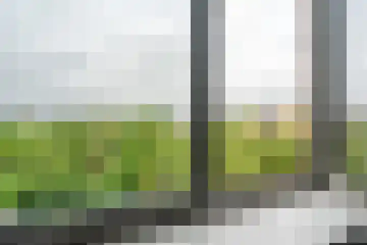 Donatellostraat 48 Lent thumbnail 27