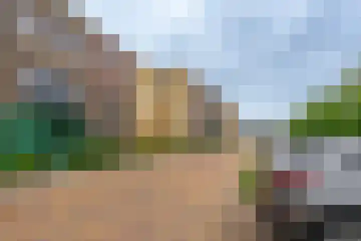 Donatellostraat 48 Lent thumbnail 41