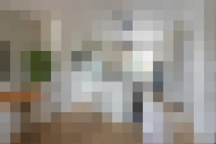 Donatellostraat 48 Lent thumbnail 9