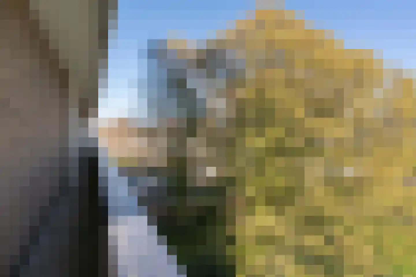 Donau 26 Amstelveen thumbnail 17