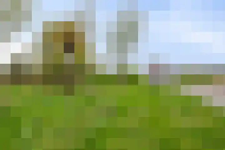Donaulaan 21 Purmerend thumbnail 25