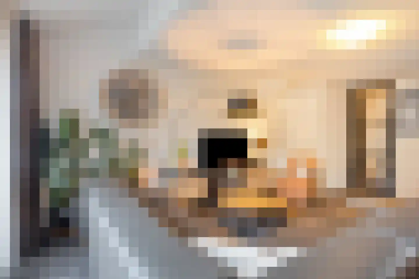 Donaulaan 60 Purmerend thumbnail 12