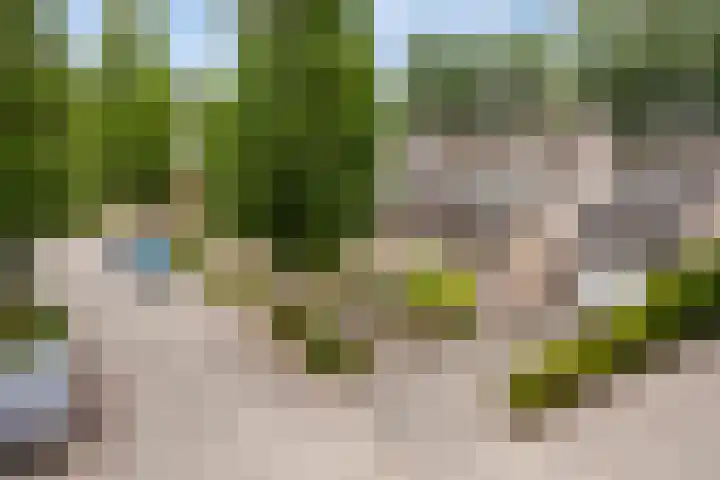 Donauring 190 Drunen thumbnail 10