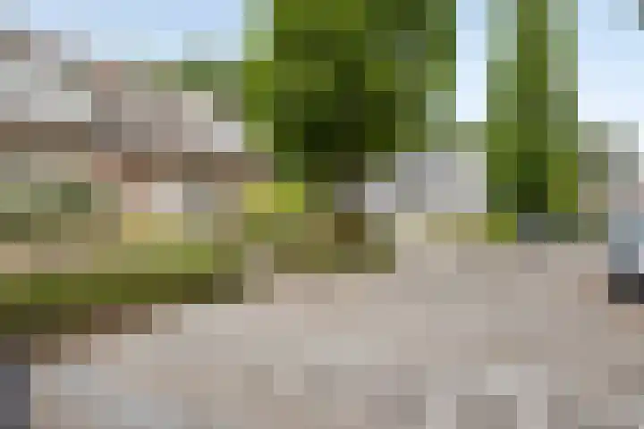 Donauring 190 Drunen thumbnail 11