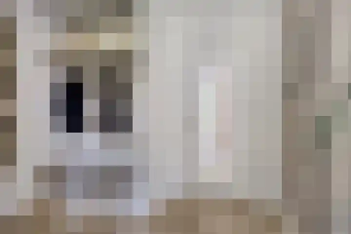 Donauring 190 Drunen thumbnail 12