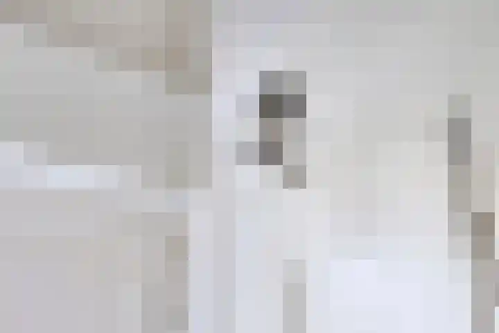 Donauring 190 Drunen thumbnail 13