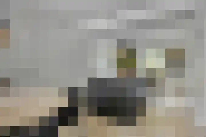 Donauring 190 Drunen thumbnail 15