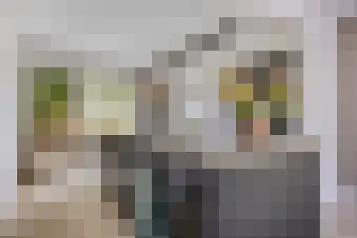 Donauring 190 Drunen thumbnail 16