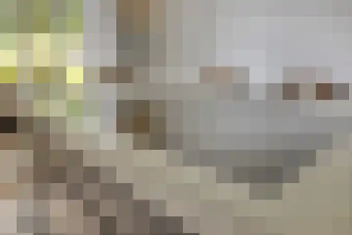 Donauring 190 Drunen thumbnail 18